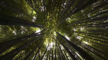 Hållbarhetsrapport 2024